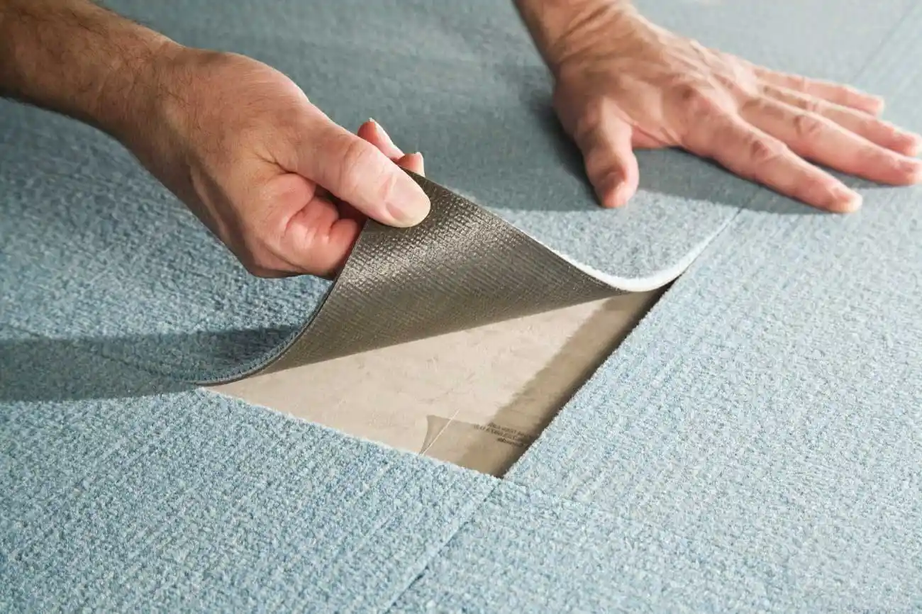Soft & Durable Carpet
